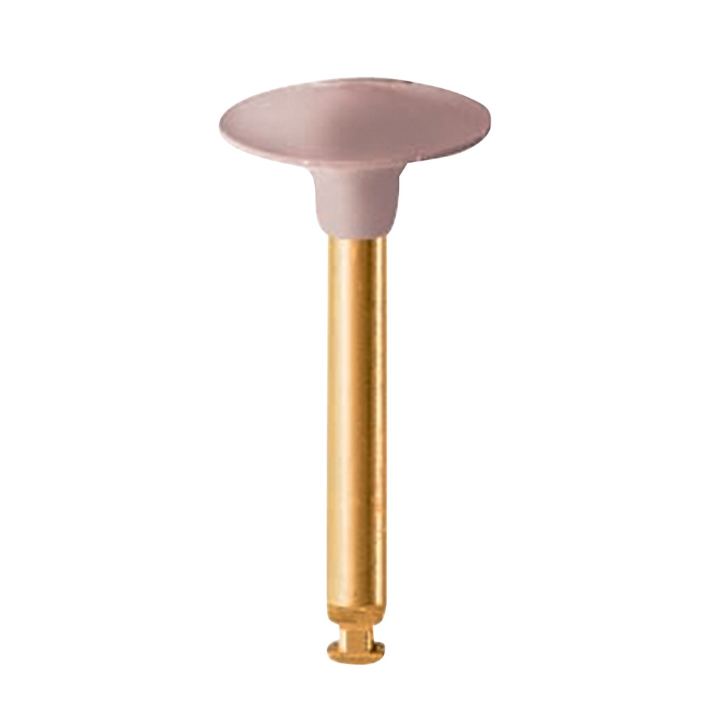 EVE Diacomp Plus Wst DCP2m, Stück