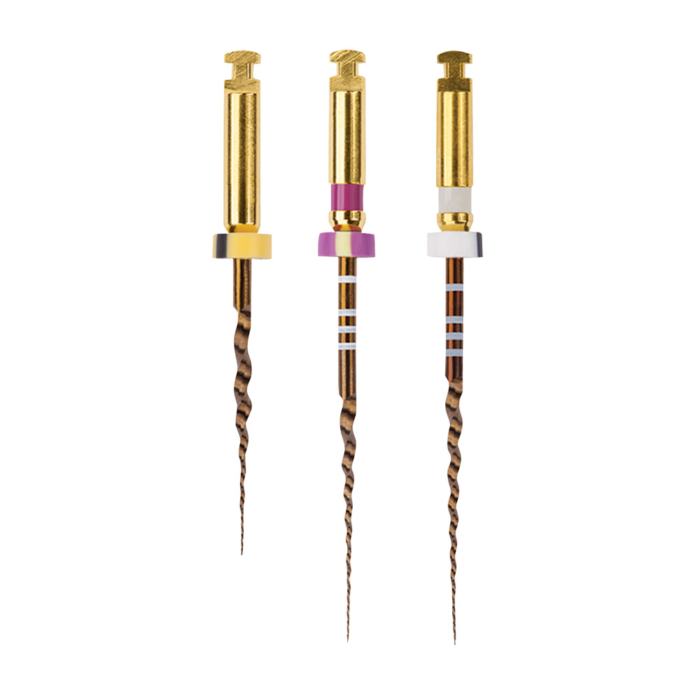 Protaper Gold S1 31 mm, 6 Stück