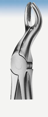 Zahnzange Anatomica Büchs Figur 67, Stück
