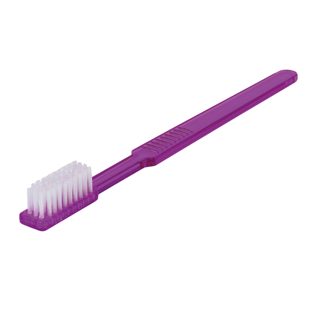 Einmal-Zahnbürsten mit Zahnpasta violett, 100 Stück