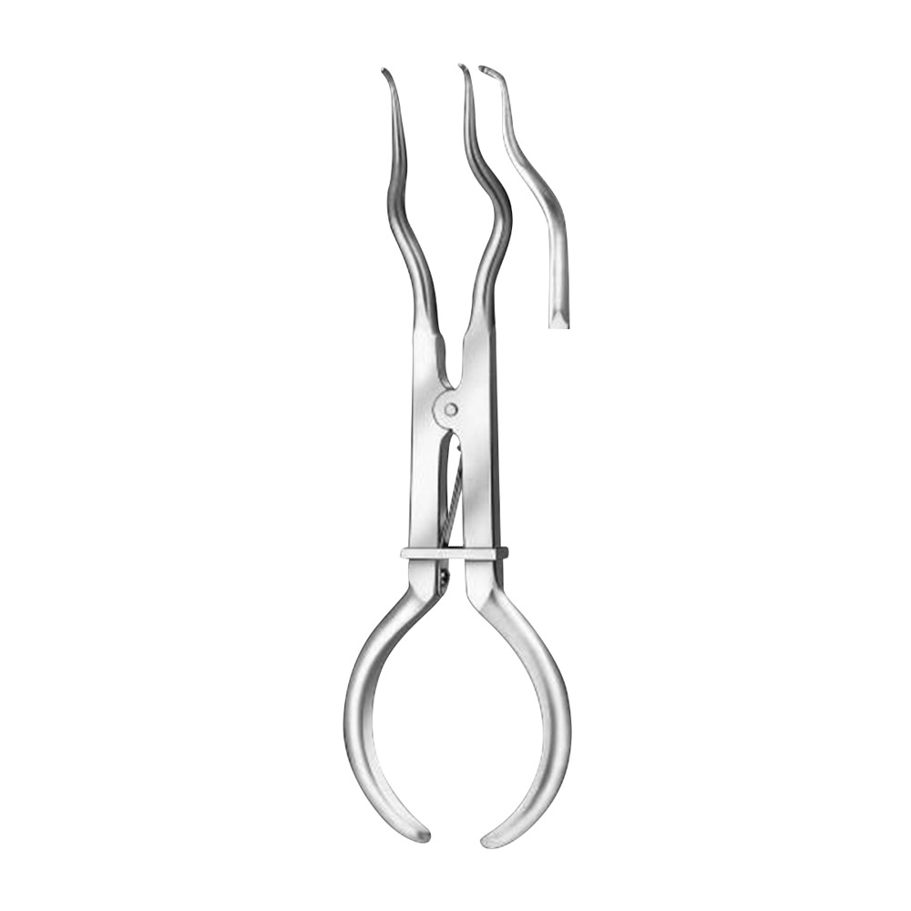 Pince à clamp Kofferdam Brewer 605, pièce