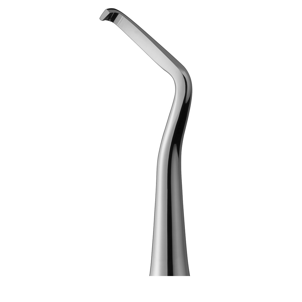 Biseau du bord gingival. L.S LS1181/165-66 St