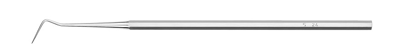 Sonde S24