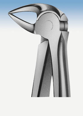 Zahnzange Anatomica Büchs Figur 33A UK Wurzel, Stück