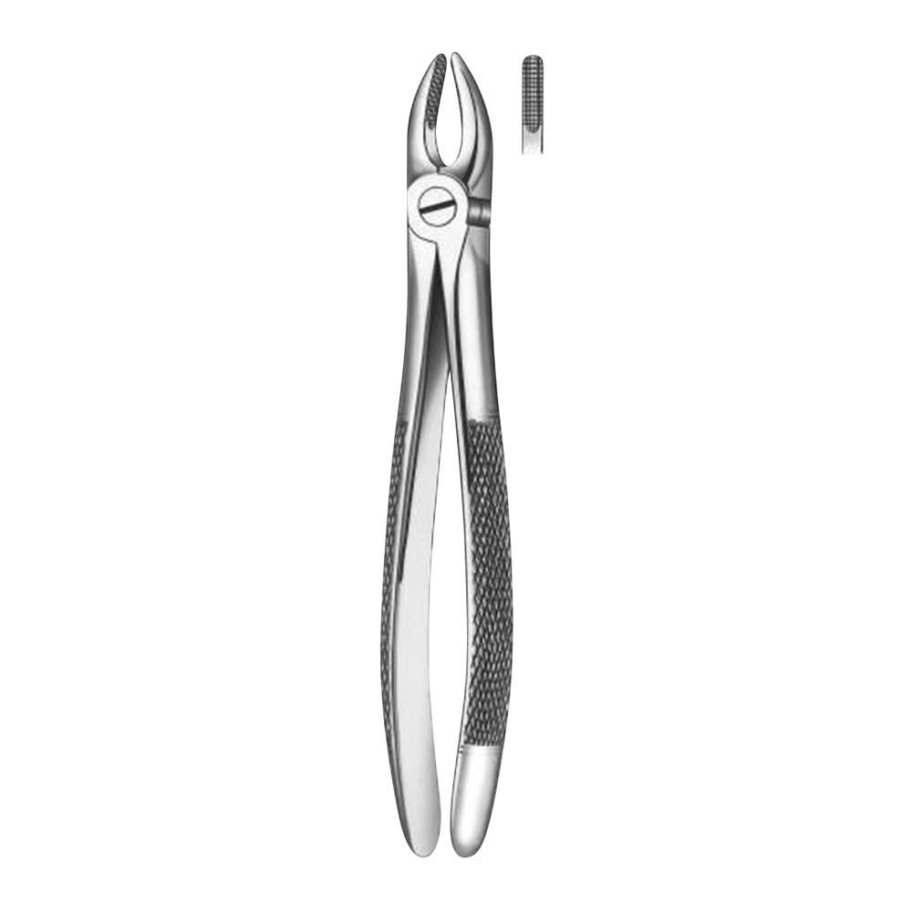 Pince dentaire Figure 1 pour incisive supérieure et canine, pièce