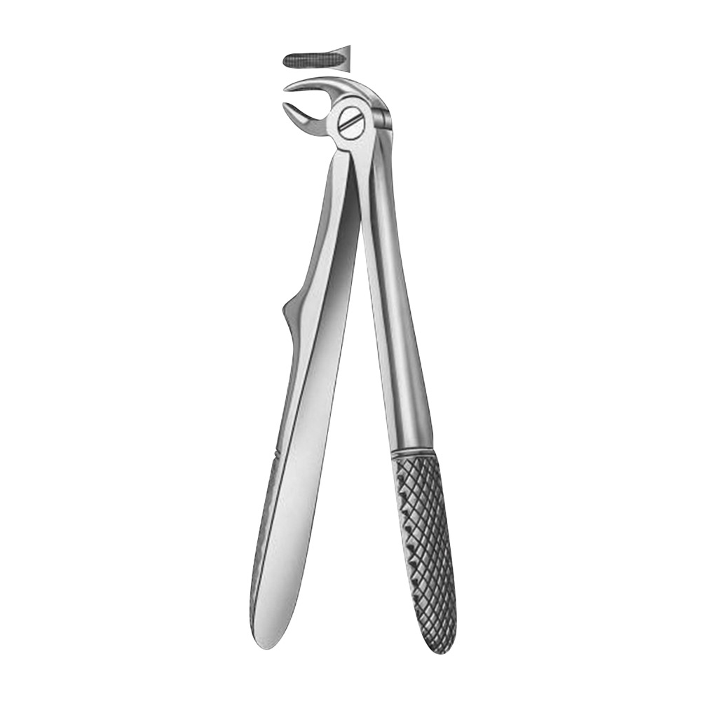 Zahnzange Figur 280/5 UK Frontzahn Kind, Stück