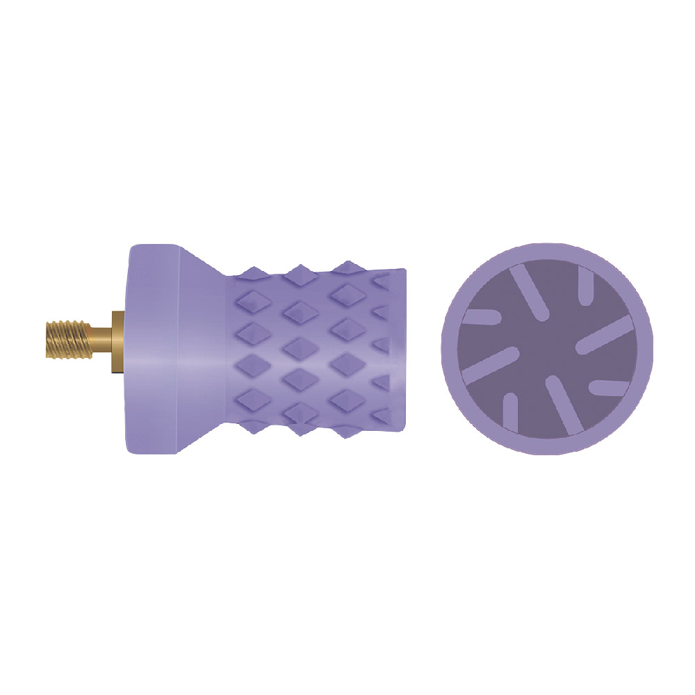 Prophy-Cup Screw-Type 9004 violett, 30 Stück