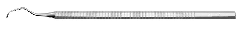 ZI11 Scaler
