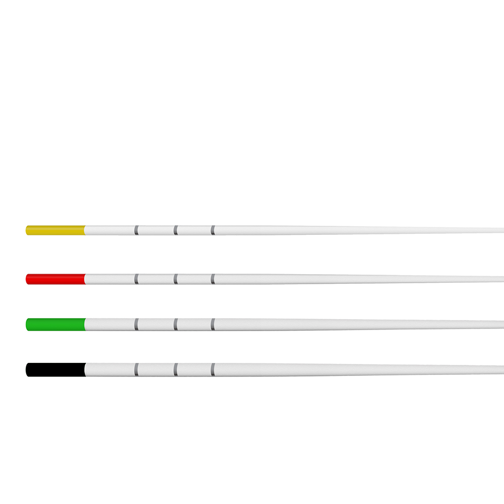 TruNatomy Absorbent Points Large Sortiment