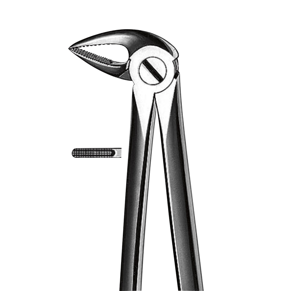 Zahnzange Büchs Figur M2033A kleines Modell UK Wurzel, Stück