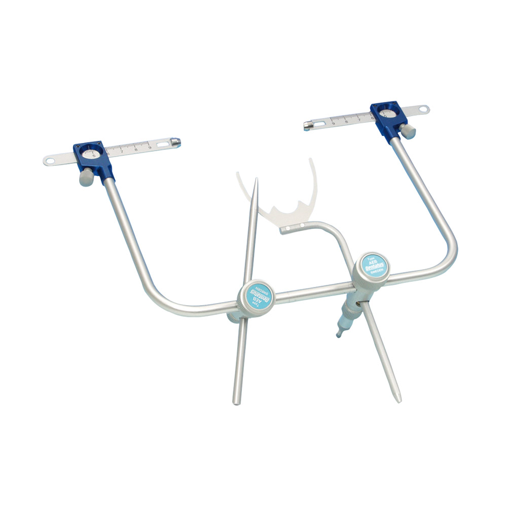 Dentatus Gesichtsbogen komplett, Stück