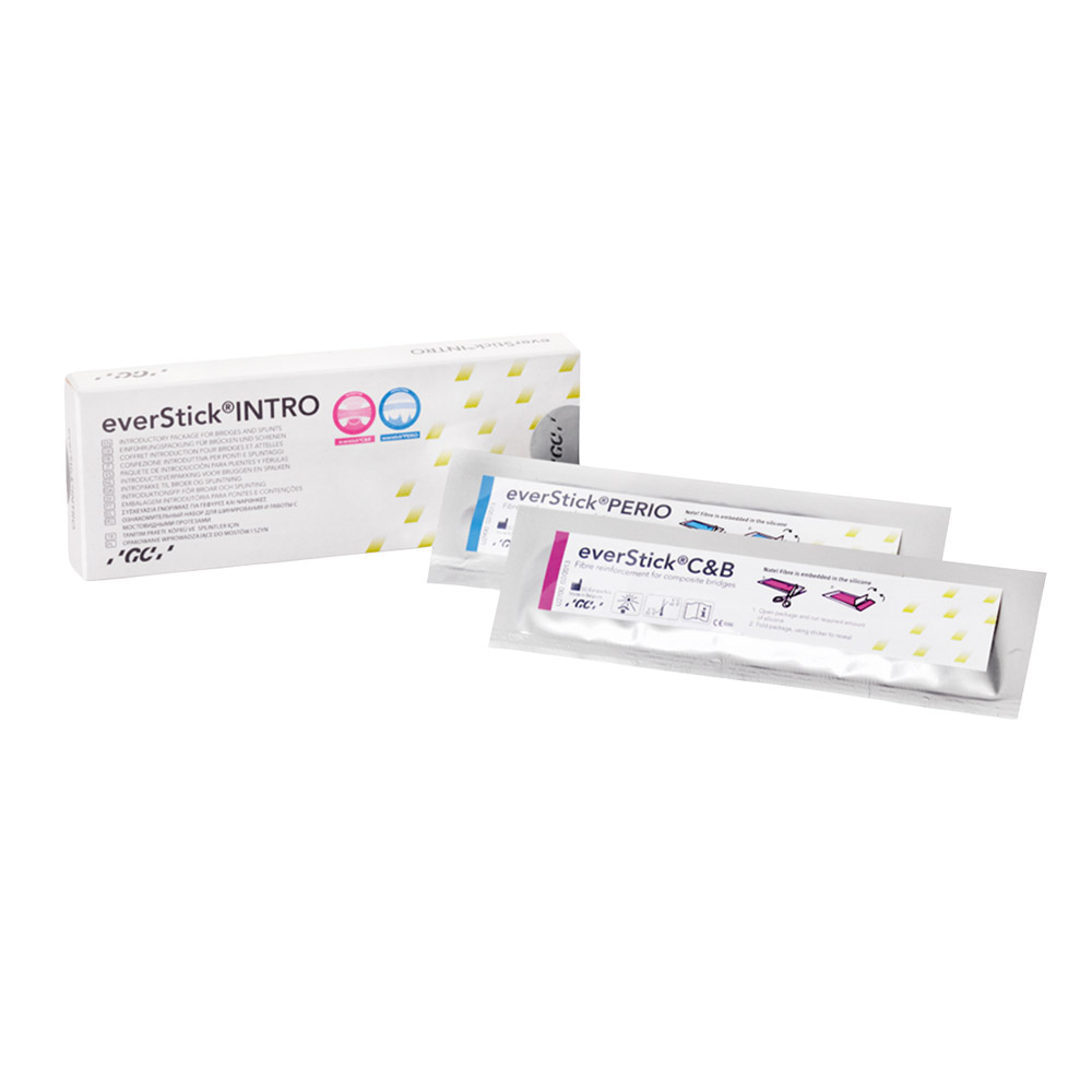 everStick, Intro