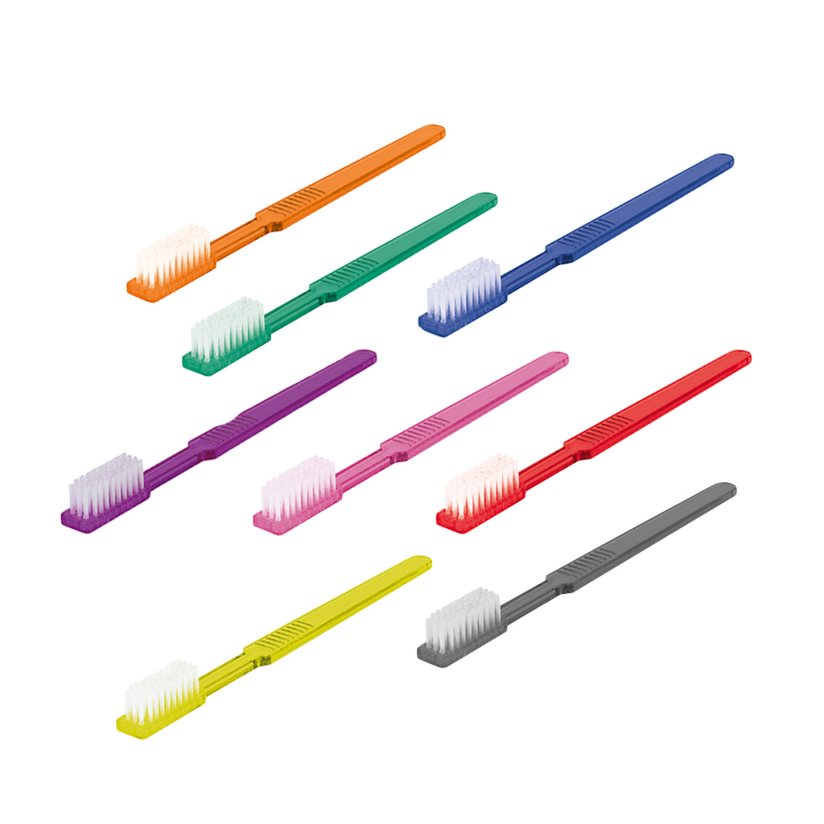 Einmal-Zahnbürsten mit Zahnpasta multicolor, 100 Stück