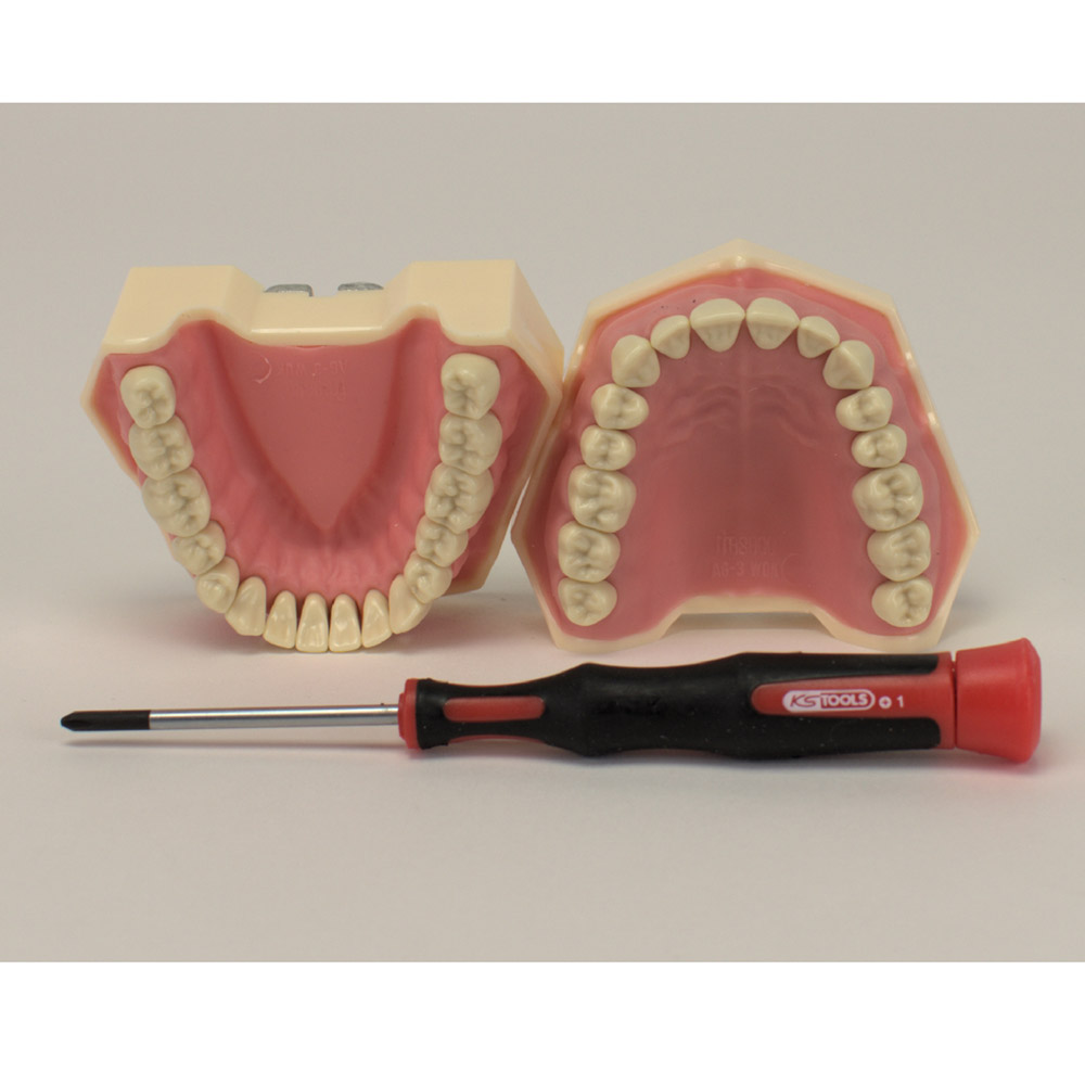 Frasaco Modell AG-3 OK+UK, Stück