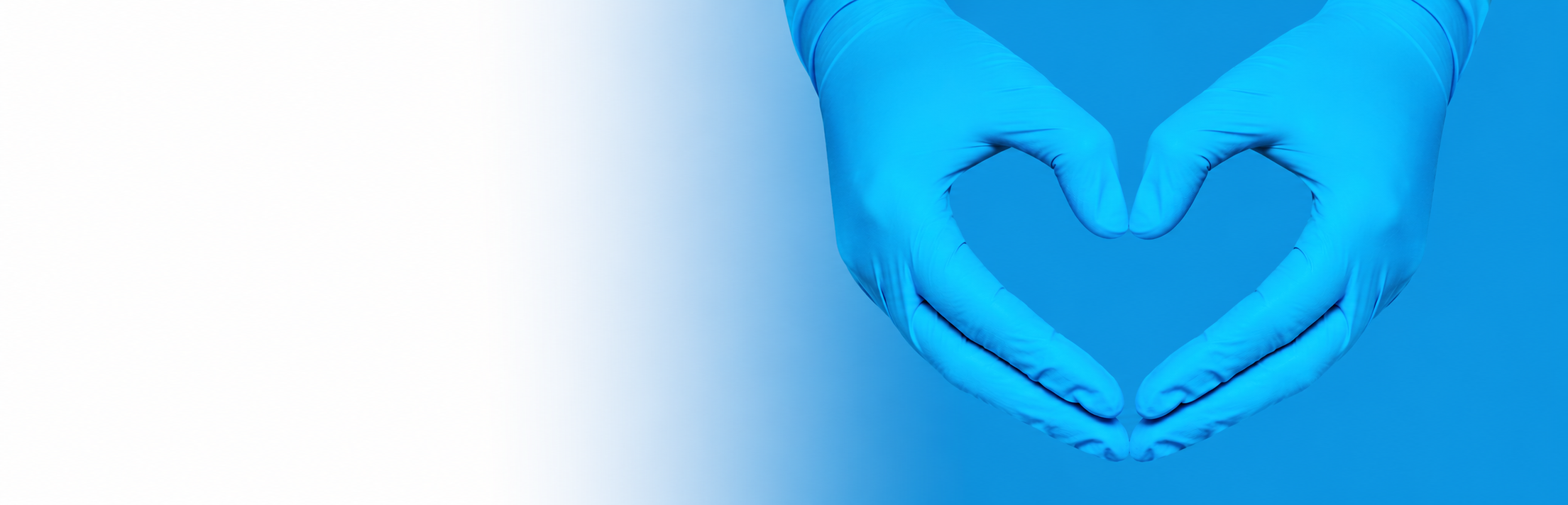 PLULINE
powered by dental bauer