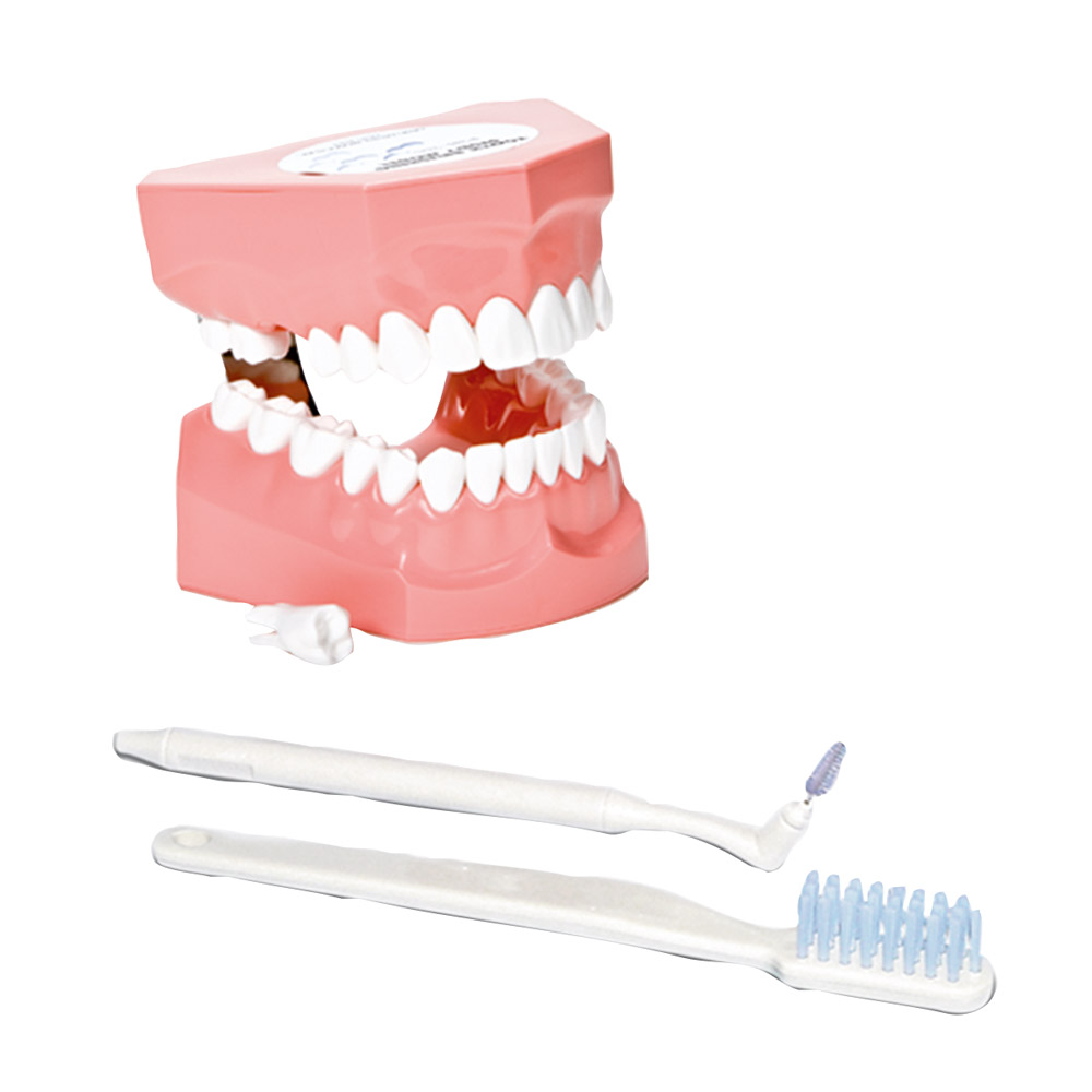 Super-Zahnbürste P 3 -Tb, Stück