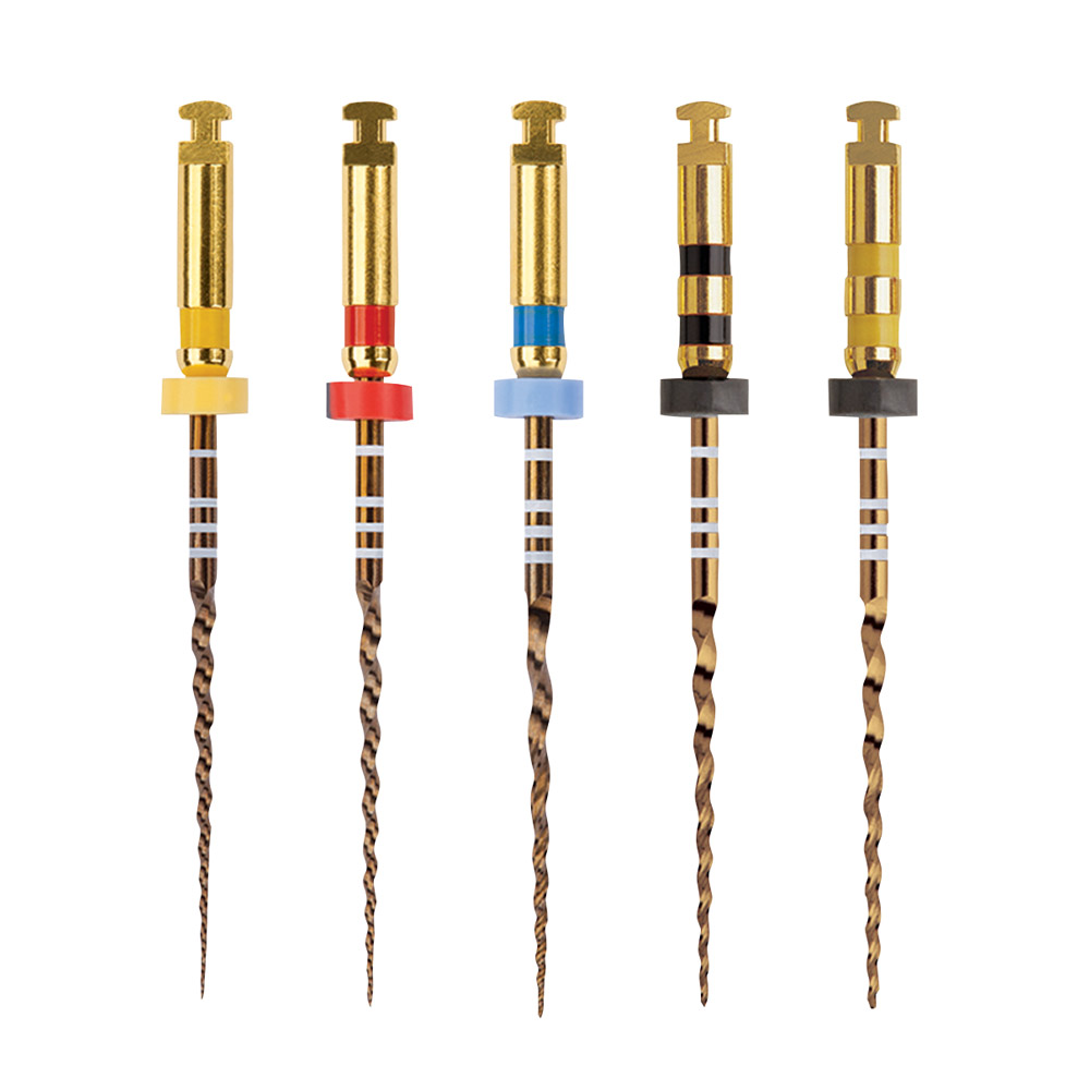 Protaper Gold F1 25 mm, 6 Stück