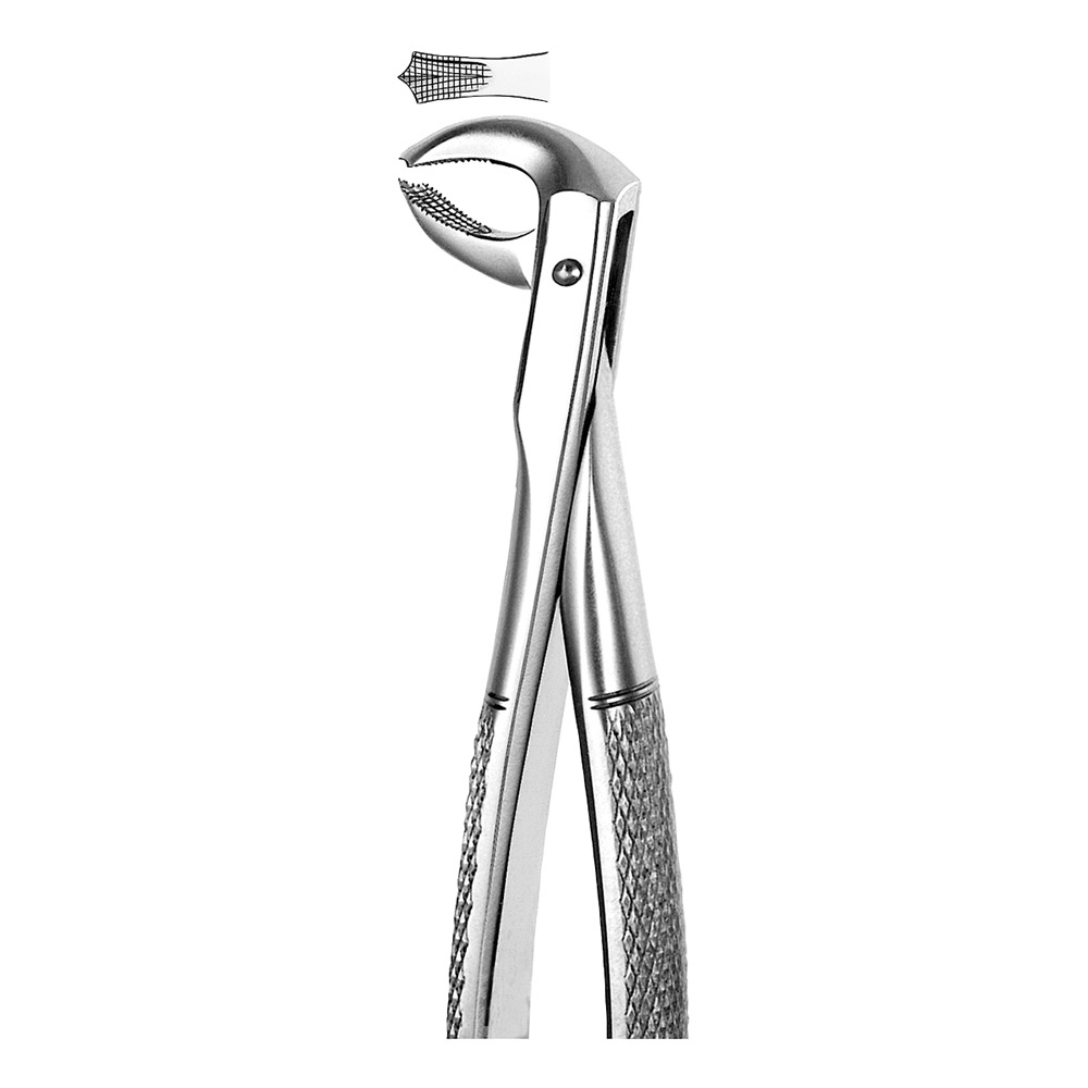Zahnzange Figur M73 kleines Modell UK Molar, Stück