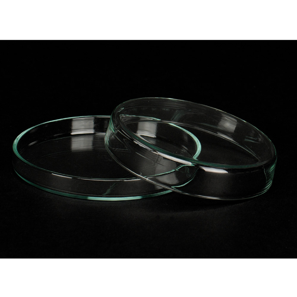 Petrischale mit Deckel 8 x 1,5 cm, Stück