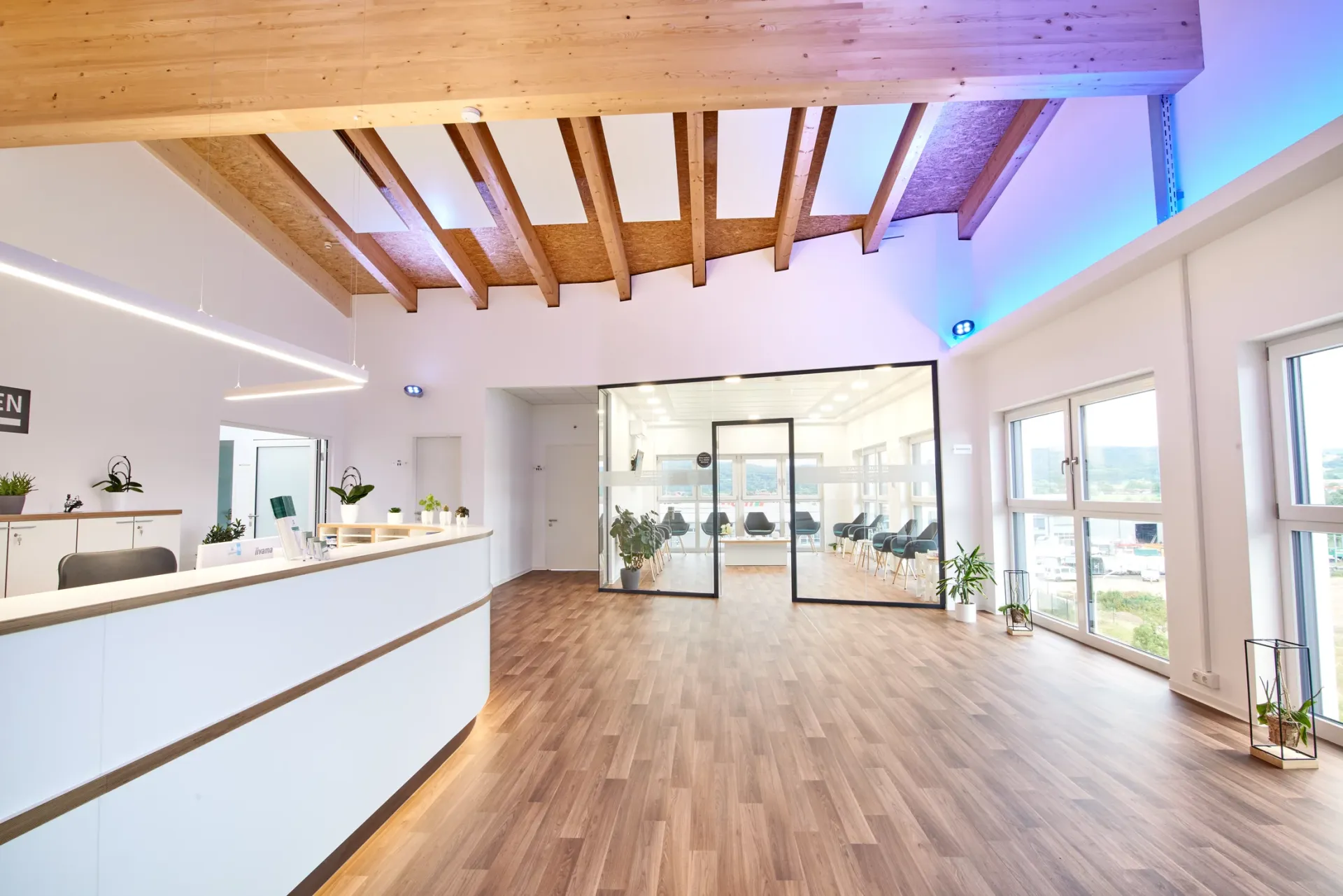 Empfangsbereich mit Blick in das Wartezimmer.