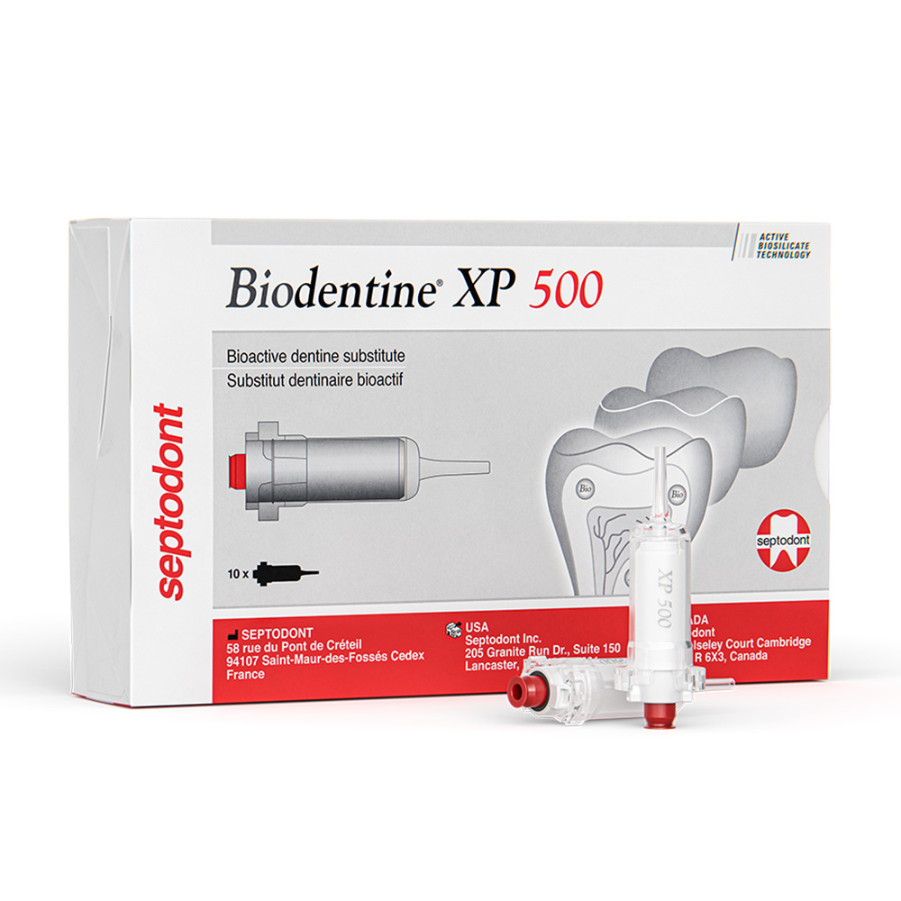 Biodentine XP 500, 10 Stück Kartusche