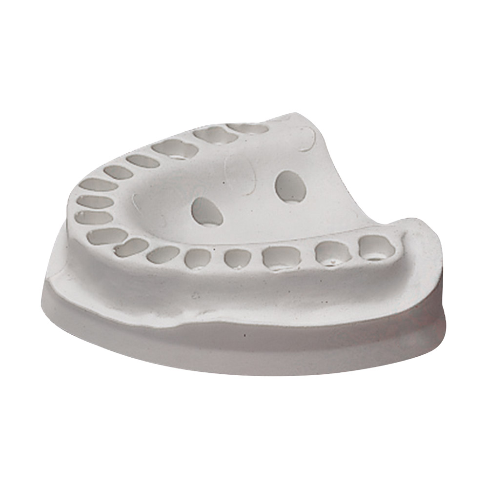 Zahnmodell Basis UK, Stück