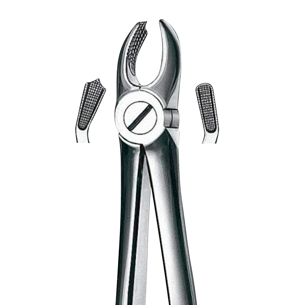 Zahnzange Büchs Figur M2018 kleines Modell OK Molar links, Stück