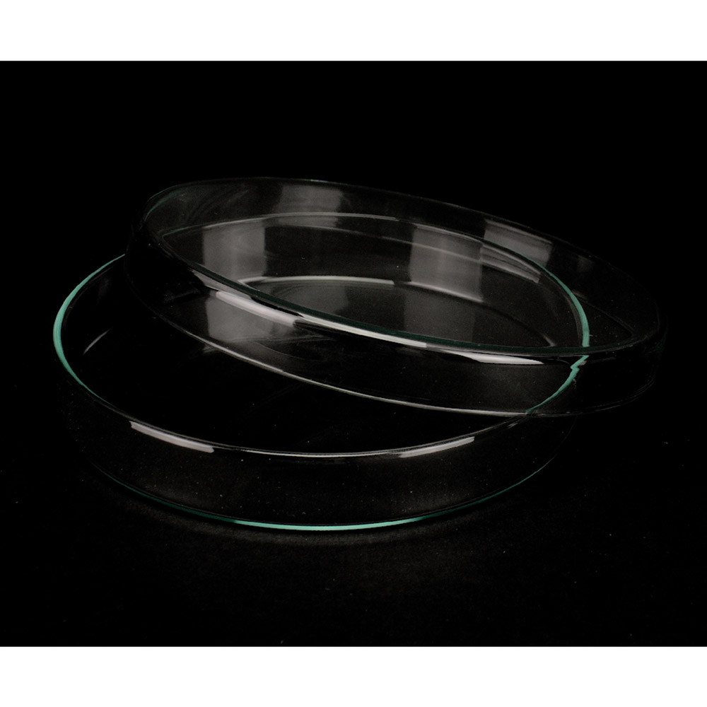 Petrischale mit Deckel 15 x 2,5 cm, Stück