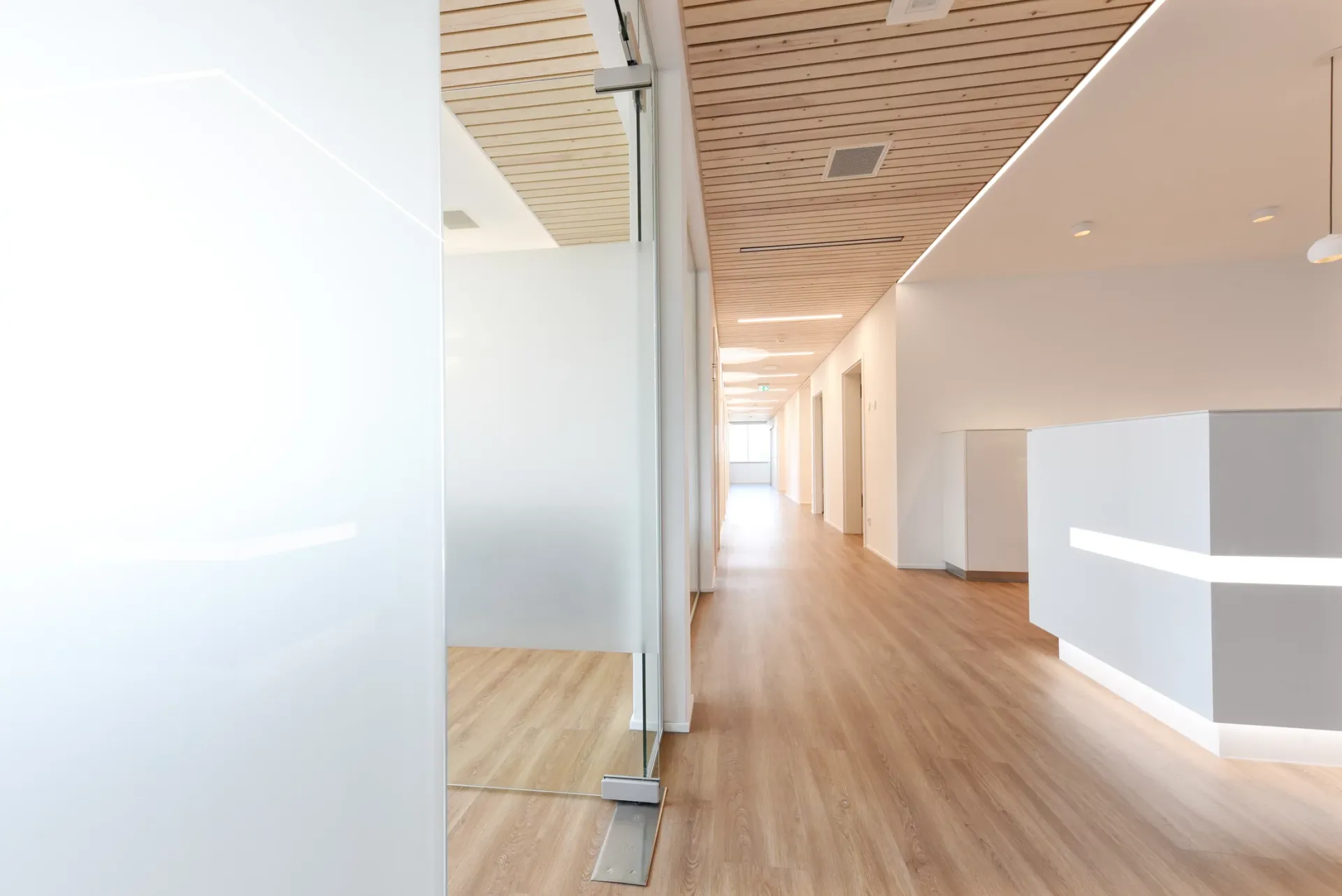 Flur aus Sicht des Eingangsbereichs mit moderner, heller Innenarchitektur.