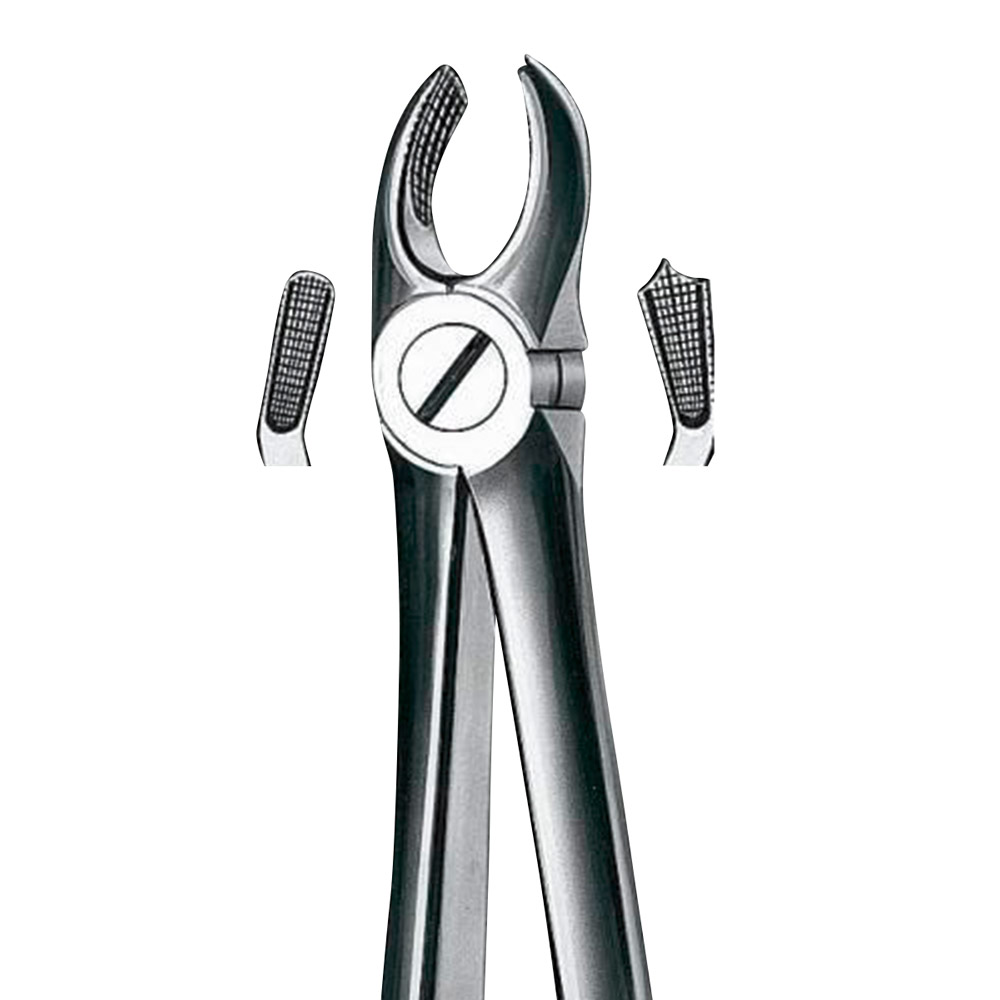 Zahnzange Büchs Figur M2017 kleines Modell OK Molar rechts, Stück