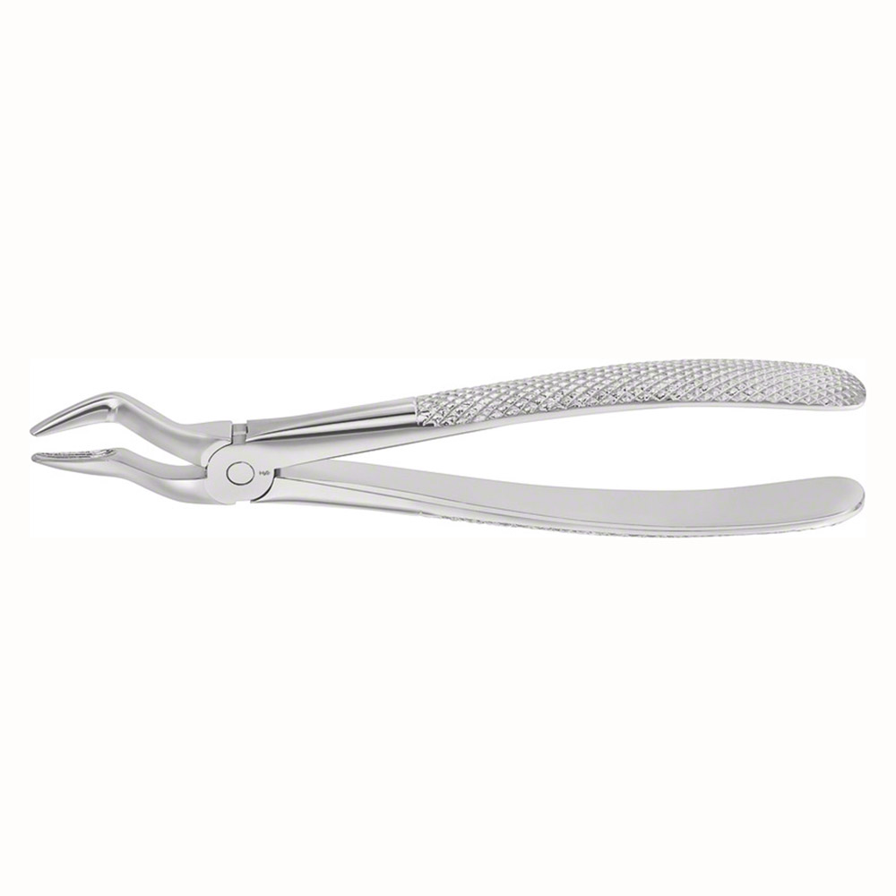 Zahnzange Anatomica Figur 51 OK Wurzel, Stück