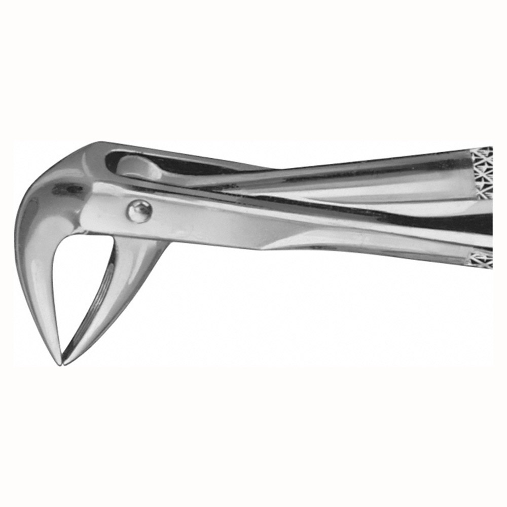 Zahnzange Anatomica Figur 74 UK Wurzel, Stück