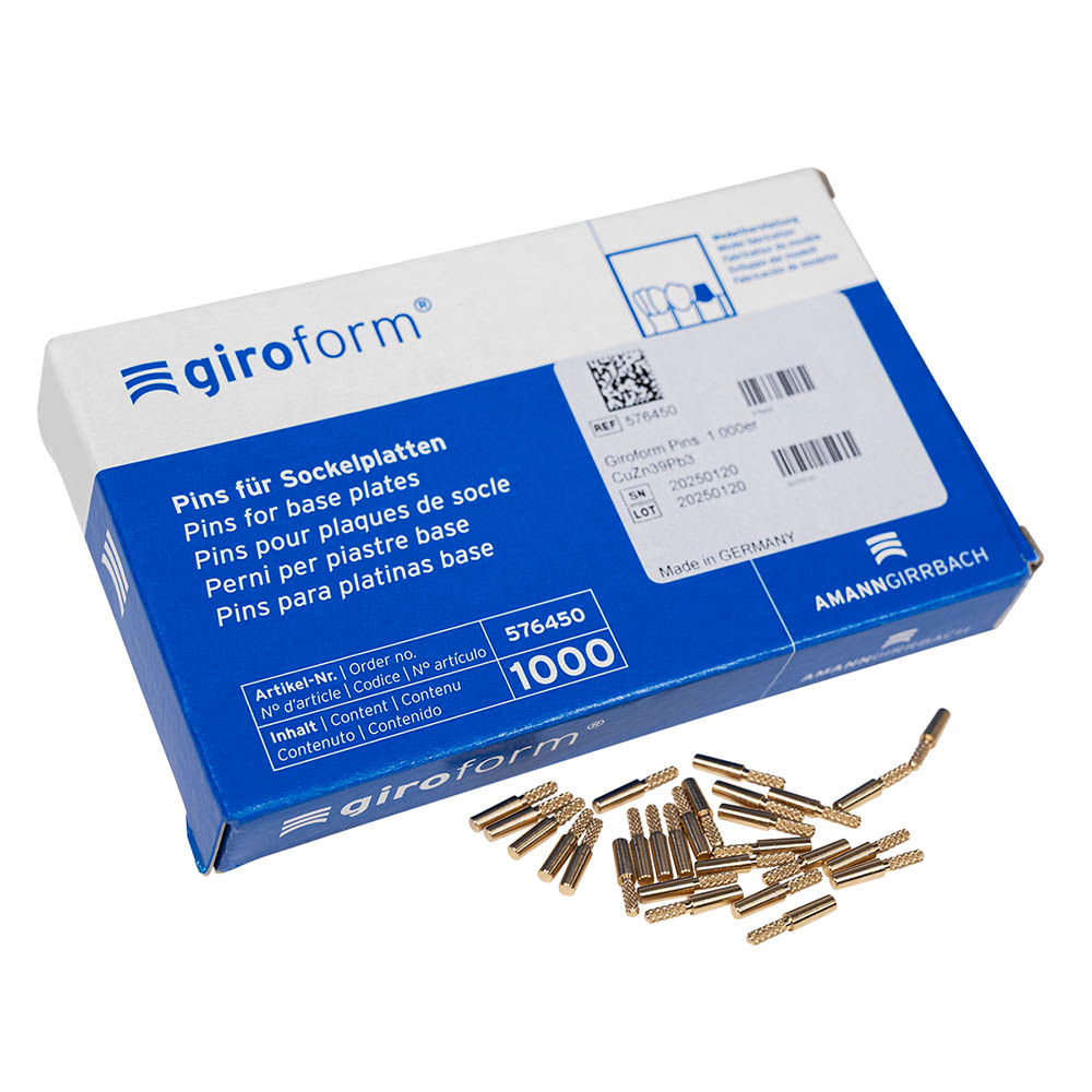 Giroform Pins, 1000 Stück