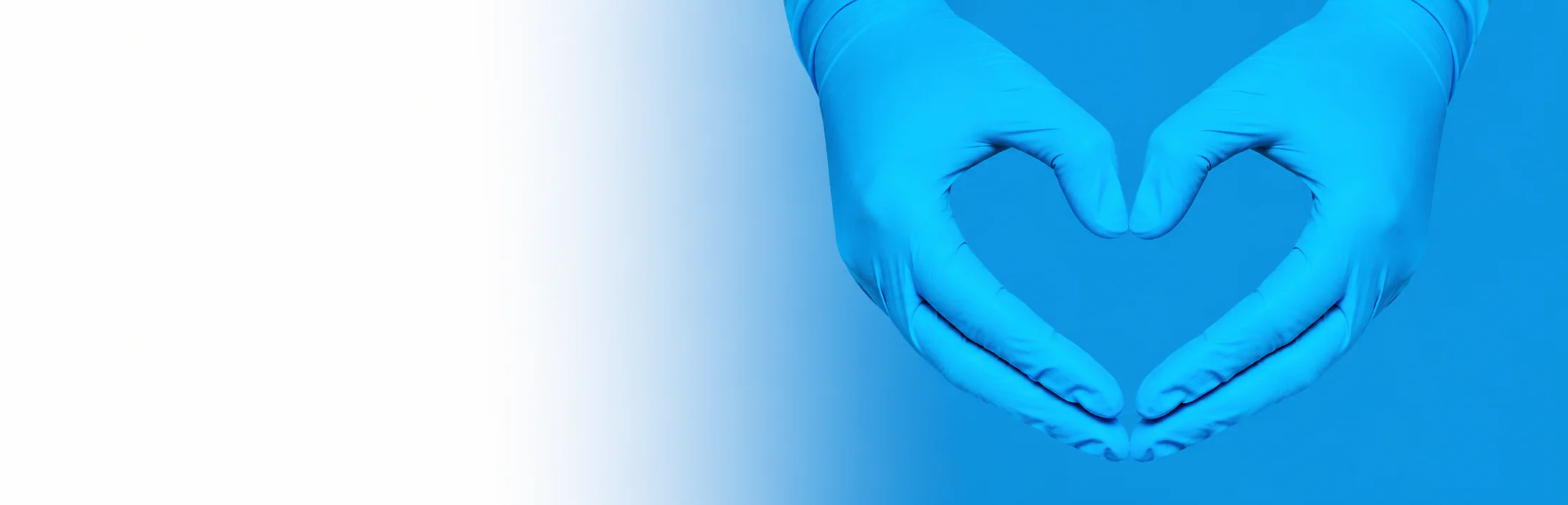 PLULINE
powered by dental bauer