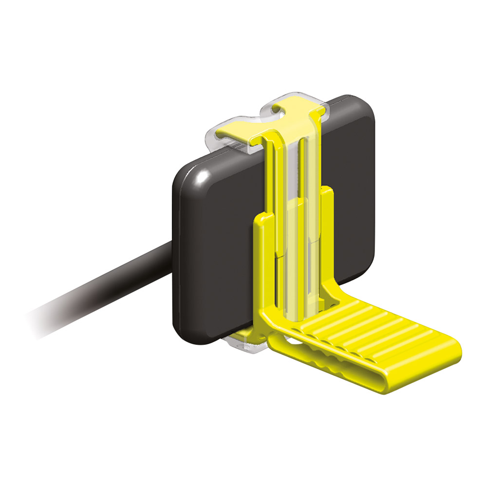 XCP-DS Fit Molar, 2 Stück
