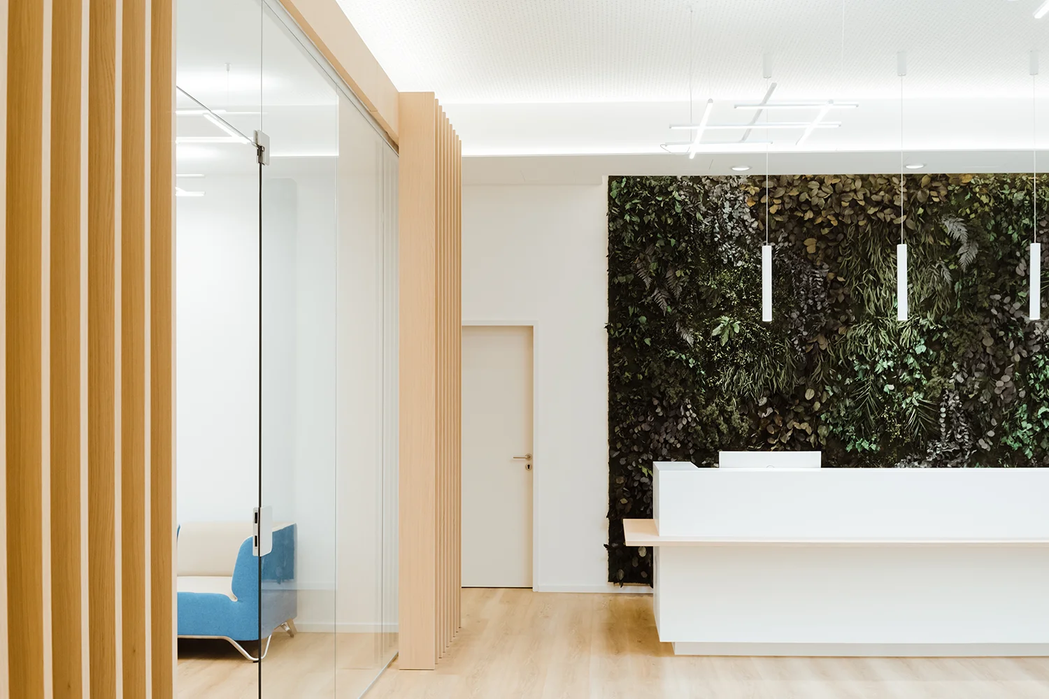 Moderner Empfangsbereich mit weißem Schreibtisch, Holz- und Glaselementen sowie grüner Pflanzenwand als Beispiel für Praxisplanung im Zahnarztbereich.