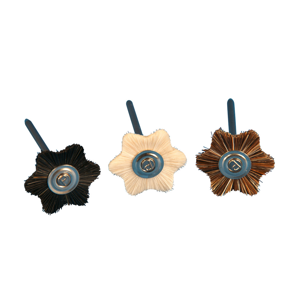 ZR Bürste Hst Stern Borste schwarz 23 mm, 12 Stück