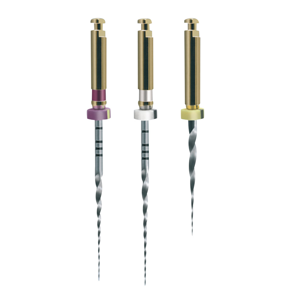 Protaper Shape File S2 25 mm steril, 6 Stück