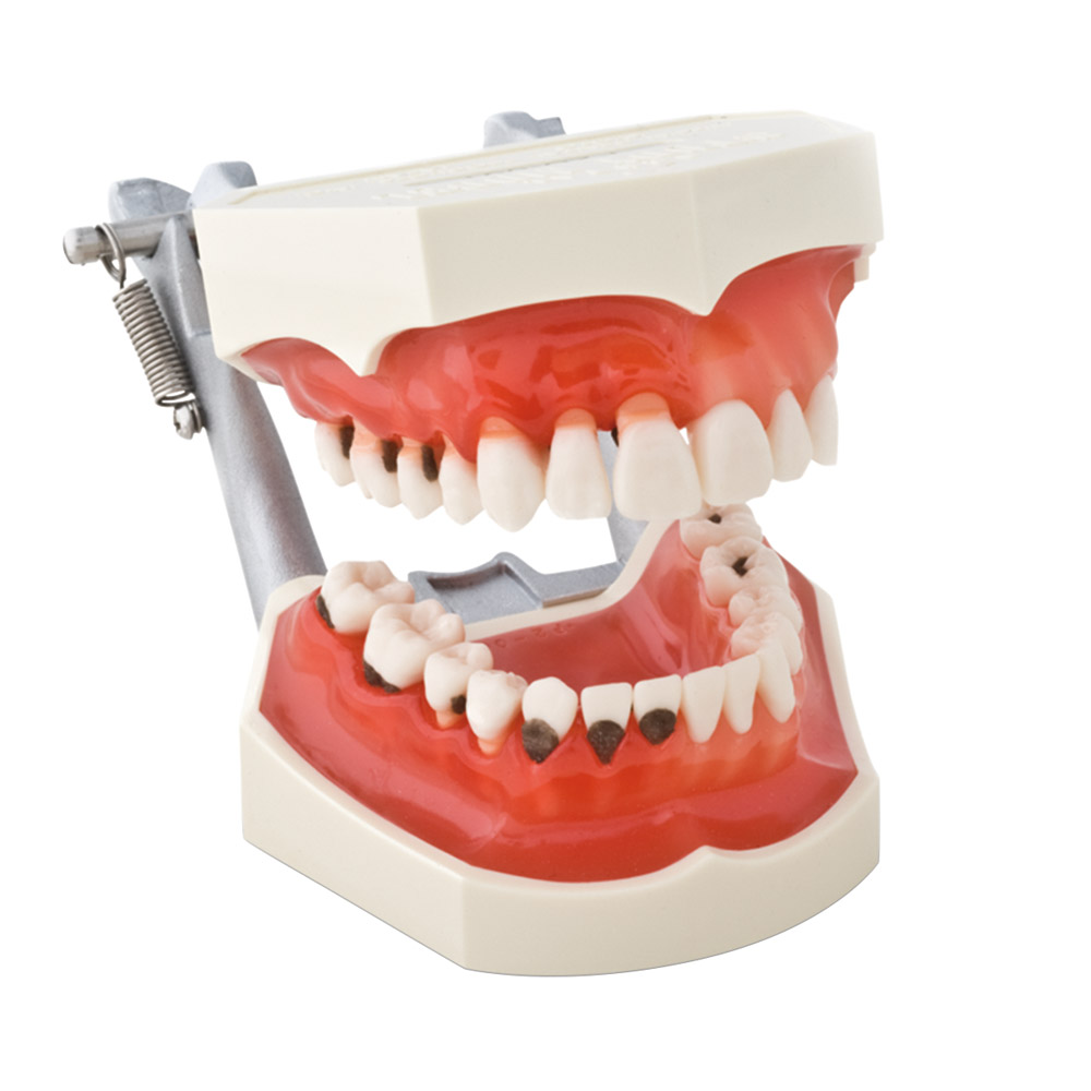 Paro-Modell P2D-001, Stück