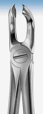 Tandtang Anatomica Büchs Figur 79 UK Visdomstand, stk.