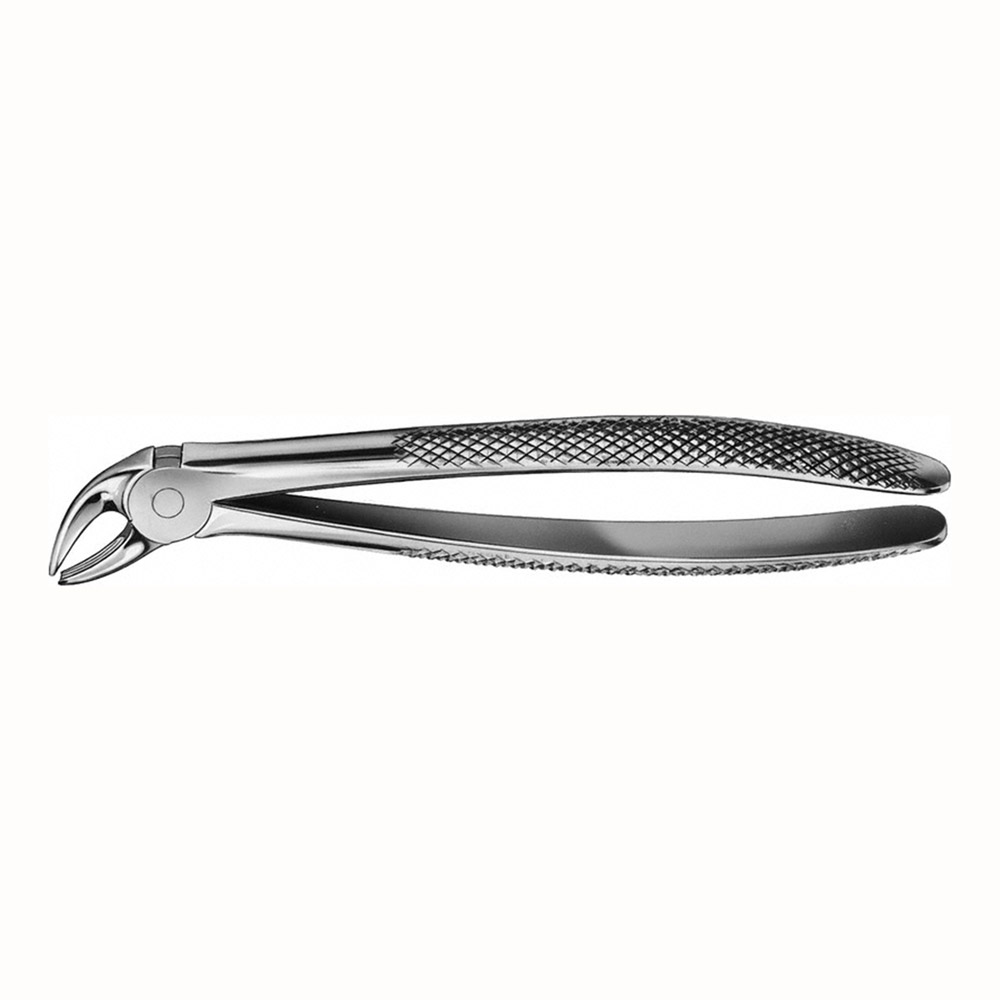 Tandtang Anatomica Figur 33A UK Rod, stk.