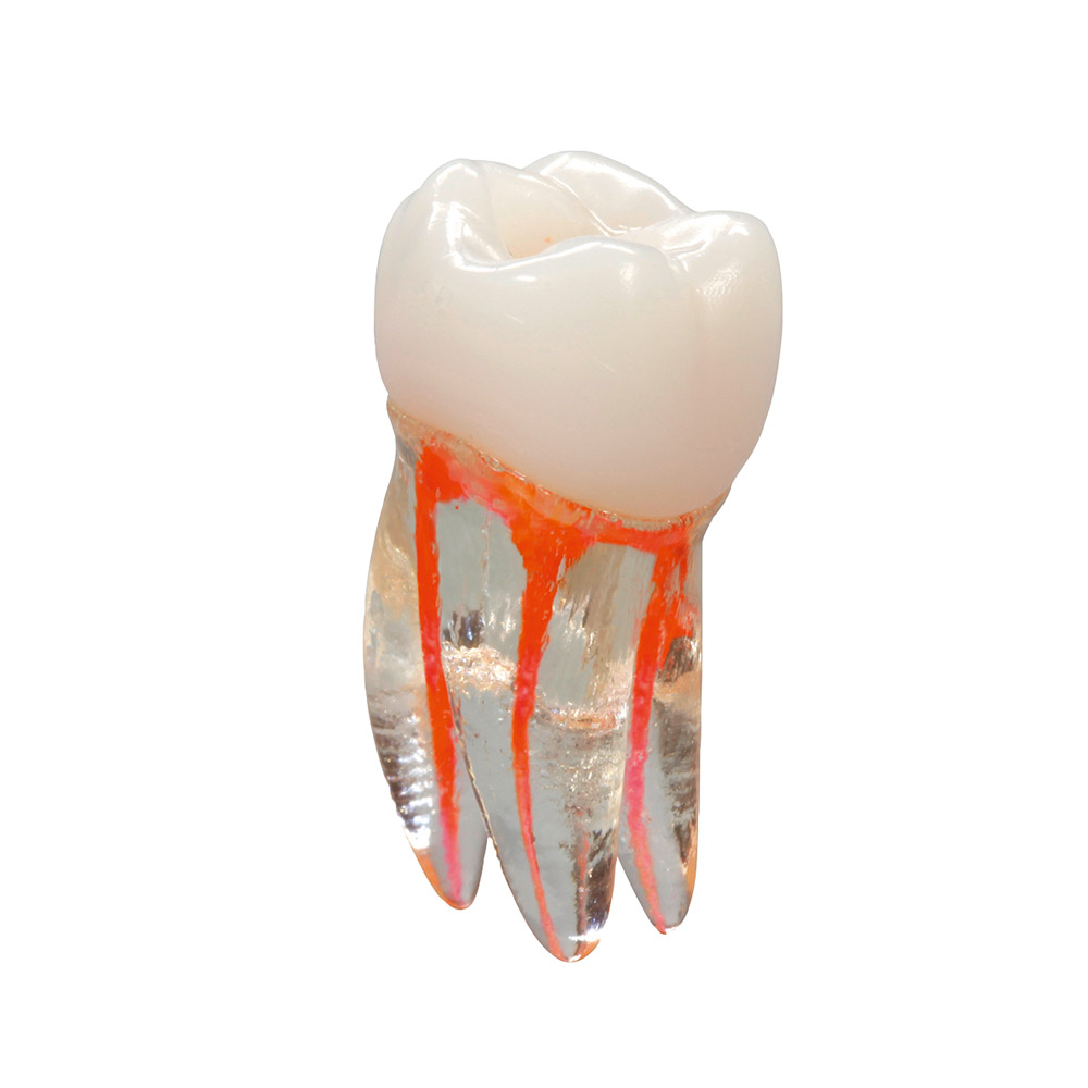 VDW Endo øvetand, stk.