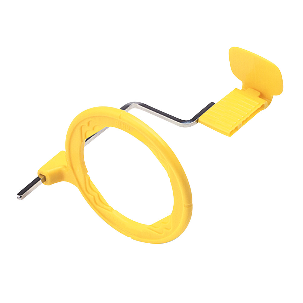 XCP-ledestang posterior, stk.