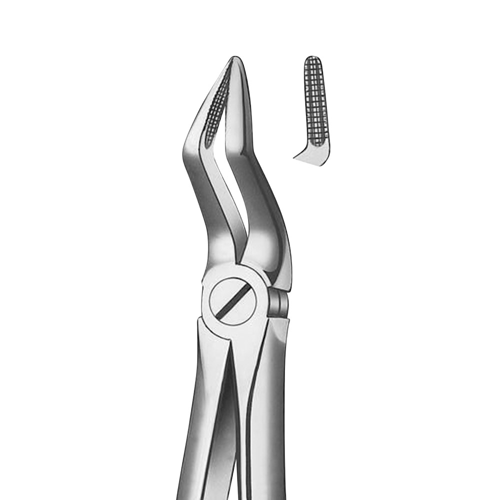 Tandtang Büchs Figur M2051 lille model OK rod, stk.