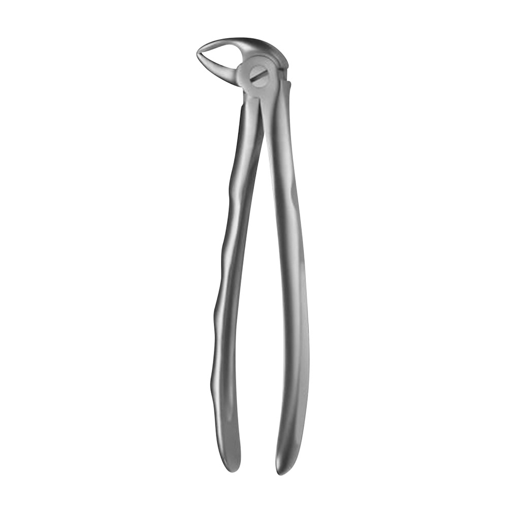 Tandtang Liquid Steel Figuur 33A OK wortel, stuk