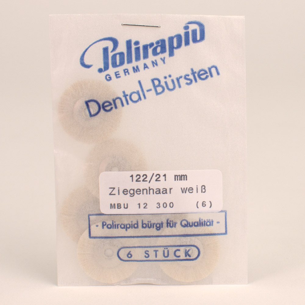 ZR borstel niet gemonteerd geit wit ø21 mm, 6 stuk