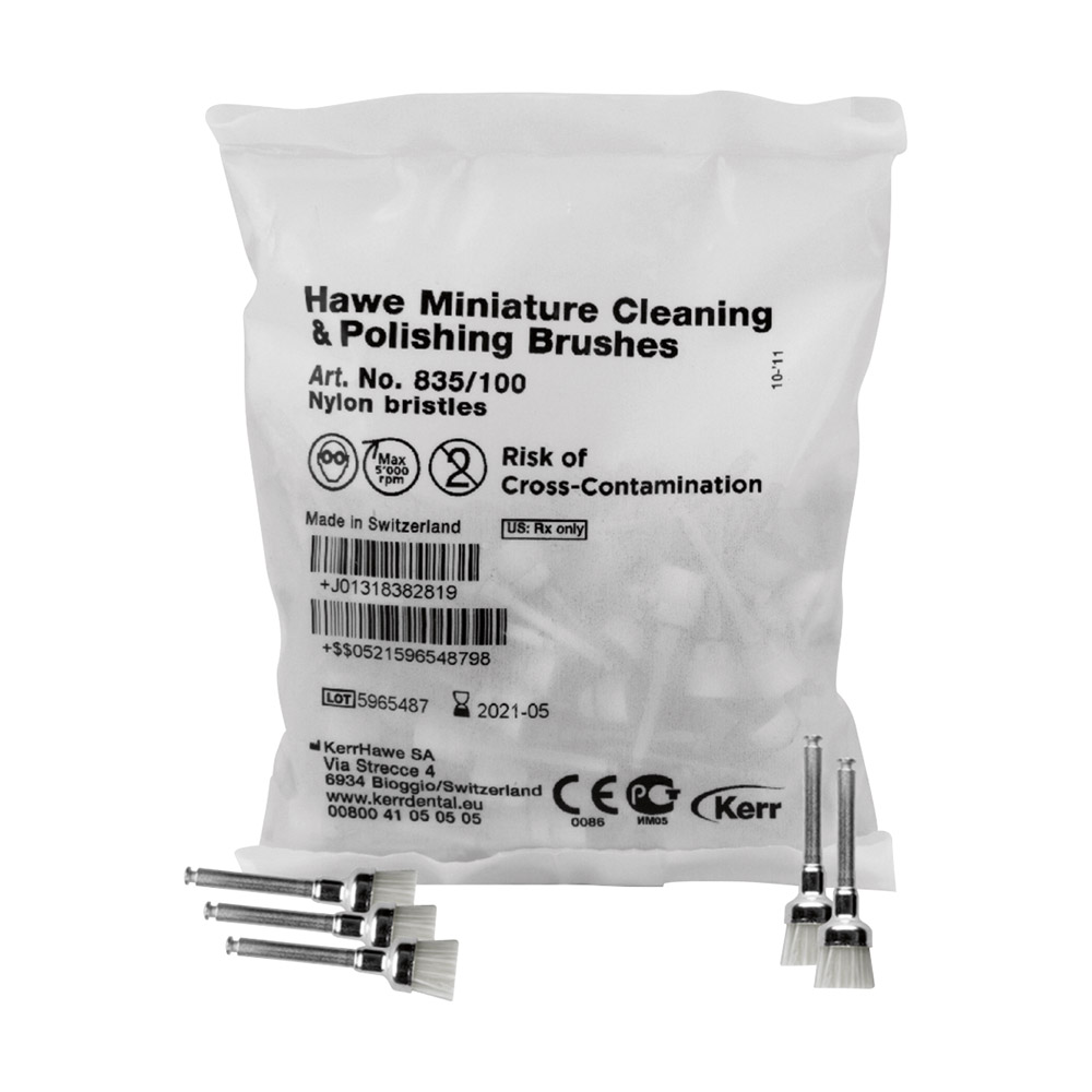 Miniatur-ZR-Borstels Hawe Nylon, 100 stuks