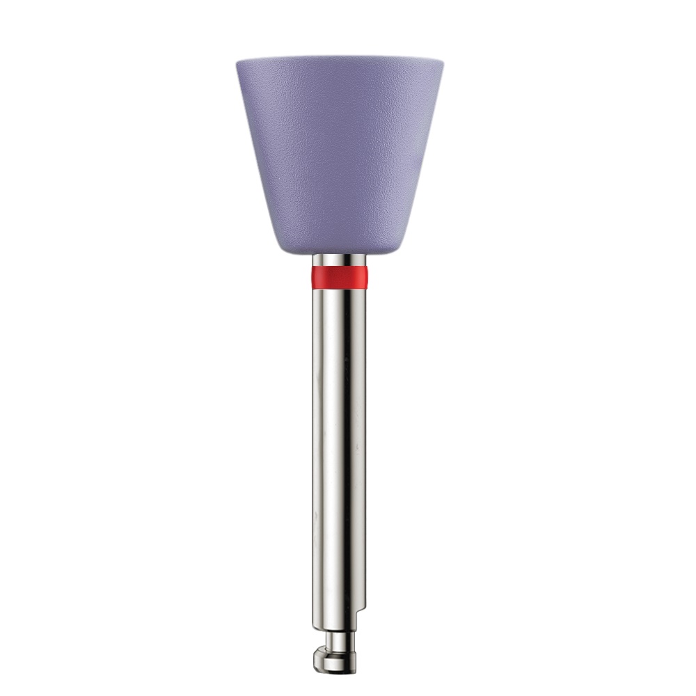 Kenda Nobilis polijstertje Wst violet grote kelk, 12 stuks