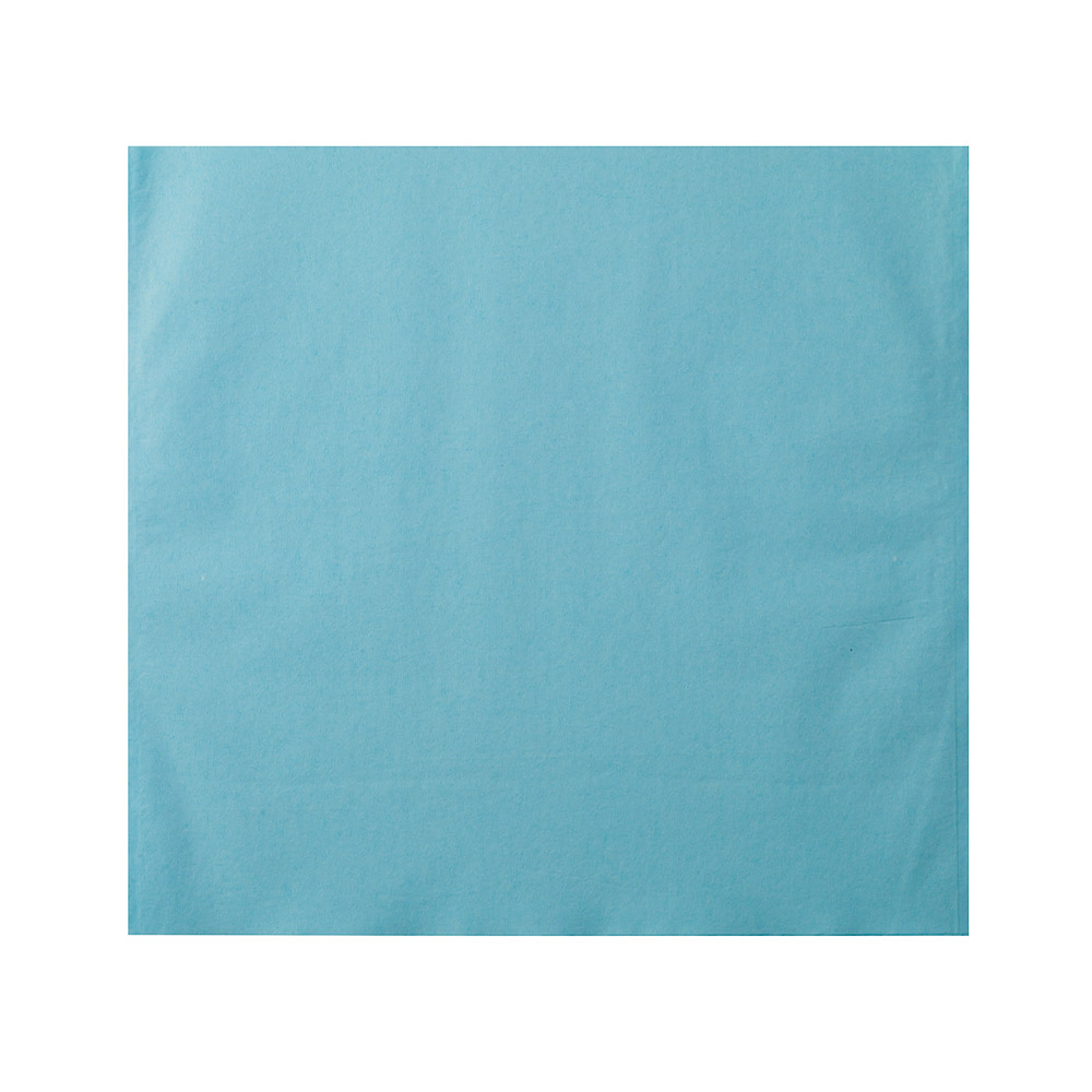 Hoofdbeschermtassen Monoart blauw, 250 stuks